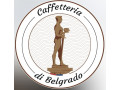 potrebna-konobaricasankerica-caffetteria-di-belgrado-small-0