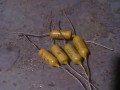 philips-mullard-mustard-kondenzatori-small-0