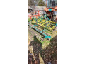 setvospremac-agromerkur-small-0
