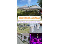 iznajmljivanje-barskih-stolova-i-pagoda-small-4