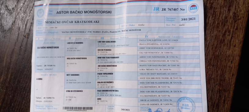 nemacki-ovcar-stenad-big-4