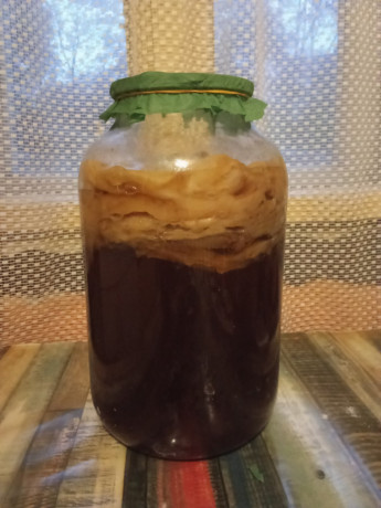 prodajem-kombuhu-big-0