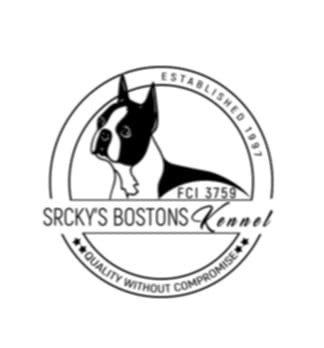 boston-terrier-stenad-big-0