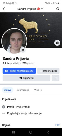 plavi-sivi-francuski-buldozi-big-2