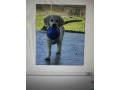 golden-sanitacteamday-small-2