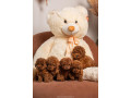 crvene-patuljaste-i-toy-pudle-od-vrhunskih-roditelja-small-0