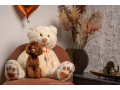 crvene-patuljaste-i-toy-pudle-od-vrhunskih-roditelja-small-1