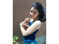 crvena-toy-pudla-novo-leglo-small-4