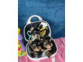 yorkshire-terrier-stenci-small-1
