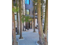 na-prodaju-lux-stan-apartman-na-planini-zlatibor-small-4