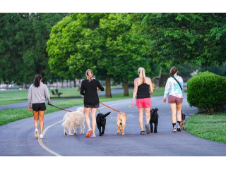 Potreban radnik / radnica u prihvatilištu za pse