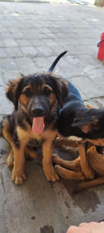 stenci-na-poklon-big-3