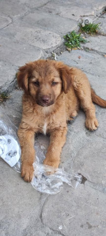 stenci-na-poklon-big-1