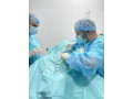dezurni-veterinar-novi-sad-00-24h-small-1