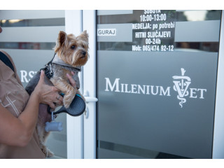 Dezurni veterinar Novi Sad 00-24h