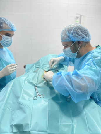 dezurni-veterinar-novi-sad-00-24h-big-1