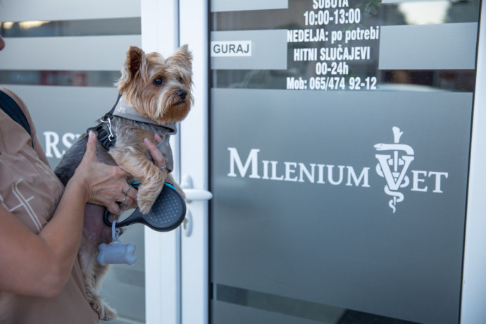 dezurni-veterinar-novi-sad-00-24h-big-0
