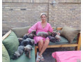 cane-corso-kane-korso-vrhunski-stenci-small-3