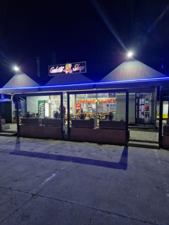 potreban-rostilj-majstor-big-0