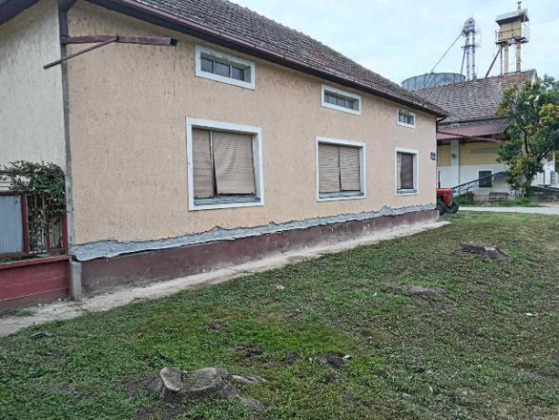 hidroizolacija-vlaznih-kuca-big-0