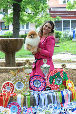 prodajem-stence-pomeranca-big-4