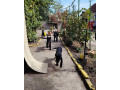 crni-nemacki-ovcar-small-3
