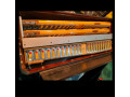 harmonika-victoria-u-vrhunskom-stanju-small-3