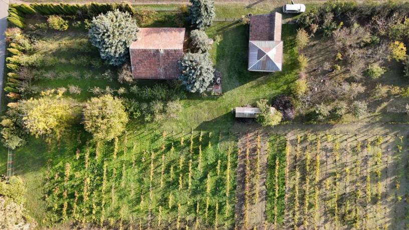 bio-salas-blizu-subotice-big-1