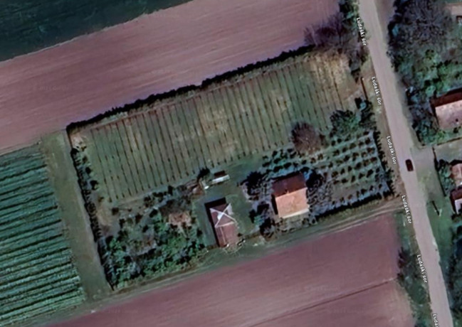 bio-salas-blizu-subotice-big-4