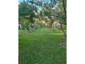 kuca-u-bogaticu-small-4