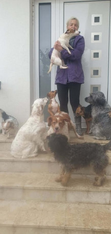 potreban-radnik-u-prihvatilistu-za-zivotinje-big-2