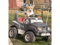 velski-korgi-welsh-corgi-pembroke-small-3