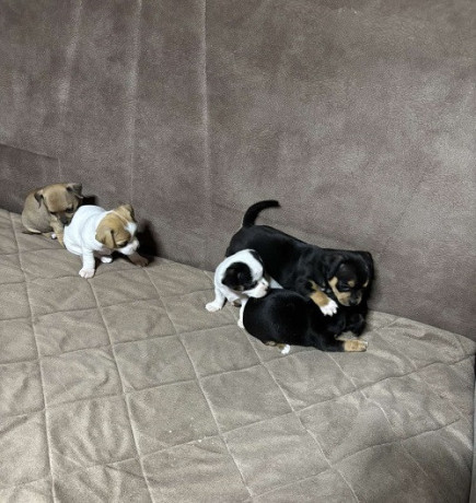 civava-stenci-stari-4-nedelje-big-2