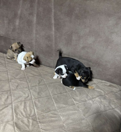 civava-stenci-stari-4-nedelje-big-1