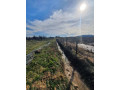 topola-gornja-satornja-njiva-353-ara-small-2