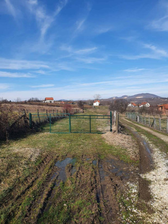 topola-gornja-satornja-njiva-353-ara-big-3