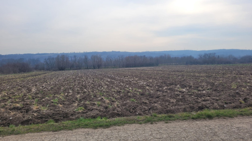 parcela-18hektara-visokonaponska-struja-ravna-big-2