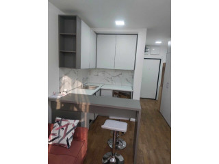 Zvezdara, izdajem jednoiposoban stan