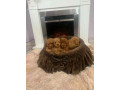 toy-pudle-ekstra-malog-rasta-small-2