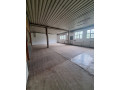 iznajmljujem-magacinski-i-kancelarijski-prostor-zemun-small-4
