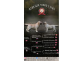 stenci-labrador-retrivera-small-0