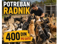 potreban-radnik-pozarevac-small-0