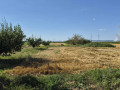 na-prodaju-salas-rumski-drum-69a-sremska-mitrovica-small-1